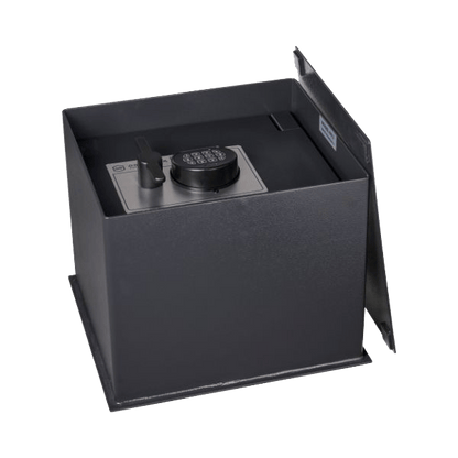 DOMINATOR DF-2 Inground | Wall Safe