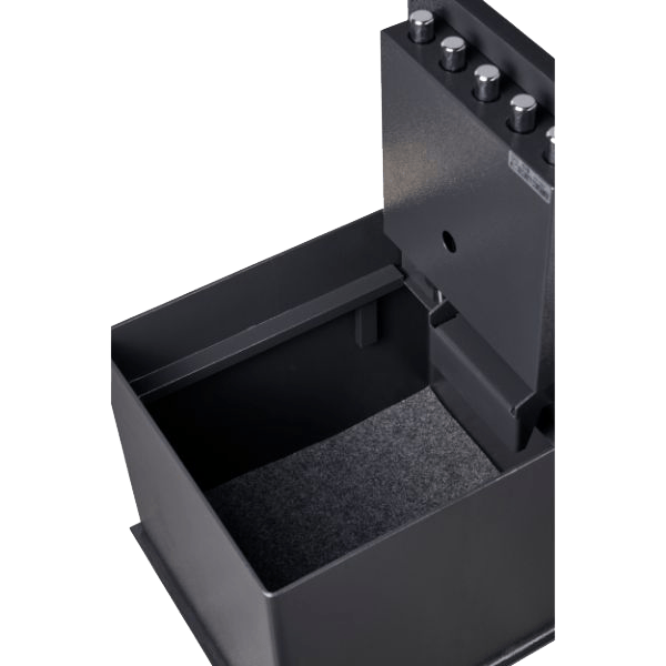 DOMINATOR DF-2 Inground | Wall Safe