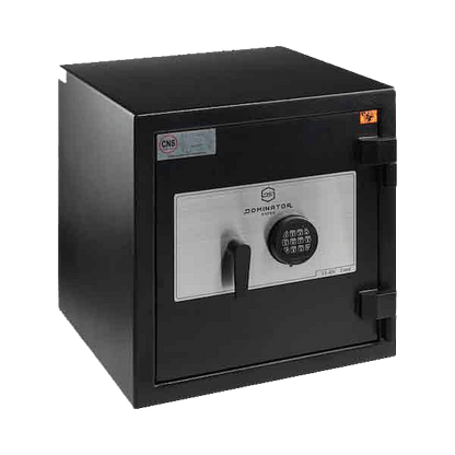 DOMINATOR DS-2 SAFE Commercial | Home Safe