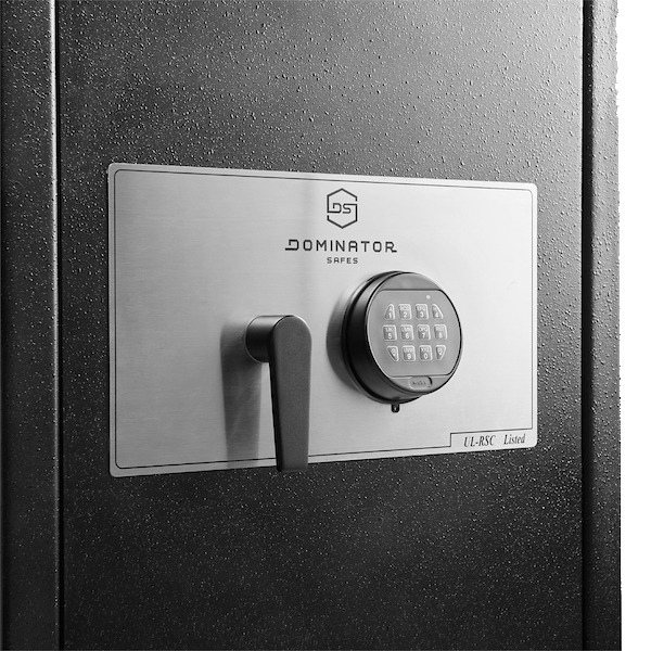 DOMINATOR DS-4 SAFE Commercial | Home Safe